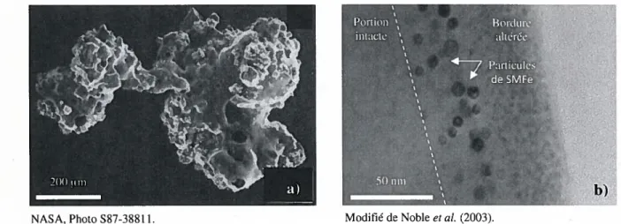 Figure 5. Particules composites et particules de fer microscopique (SMFe) se formant lors de la maturation du sol