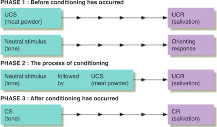 Figure 1. Classical conditioning. Before classical conditioning has occurred,  meat powder on a dog’s tongue produces salivation, but the sound of a tone - a  neutral stimulus - brings only orienting responses such as turning toward the  sound