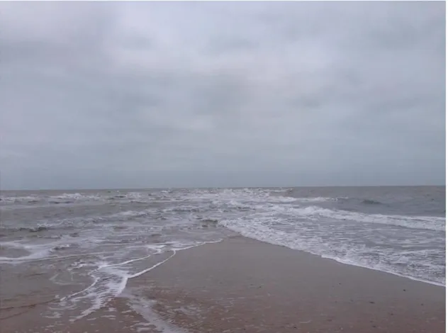 Figure 9 : Skagen : la rencontre entre la mer du Nord et la mer Baltique 