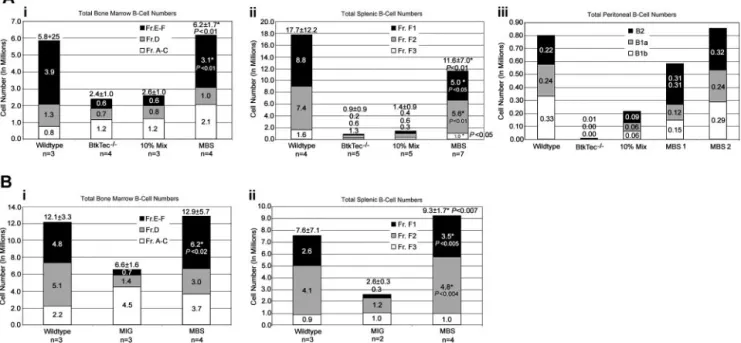 Figure 4. Reconstitution of B-cell numbers in MBS-treated mice. Total numbers for B-cell subsets, based on the developmental schema of Li and colleagues, 48 were calculated using flow cytometry percentages and total cell counts