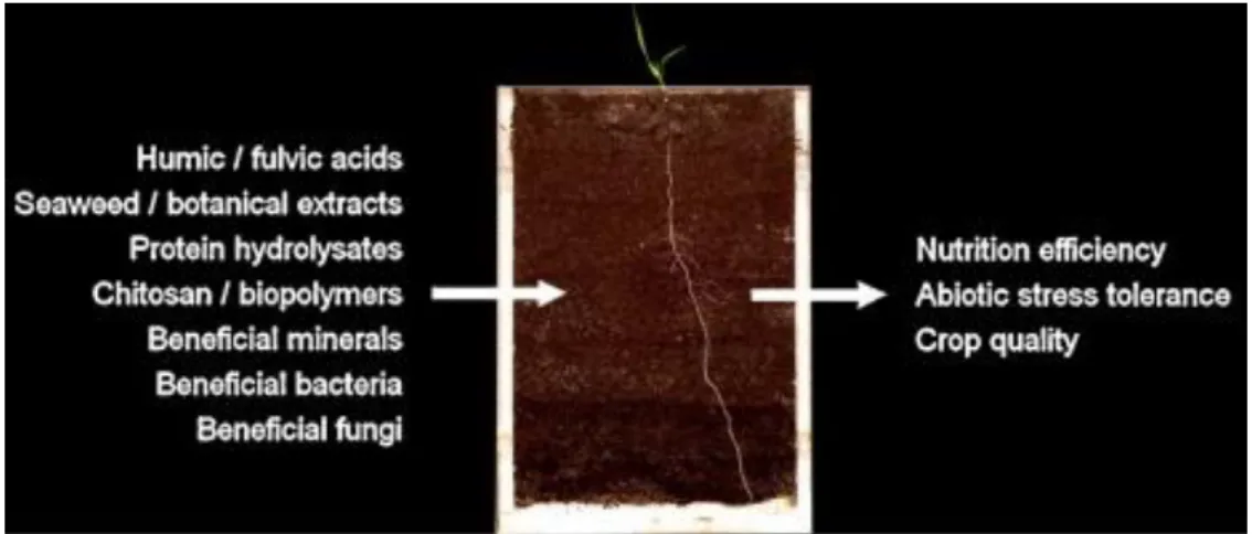 Figure 1. Main categories of plant biostimulants including various substances or  microorganisms