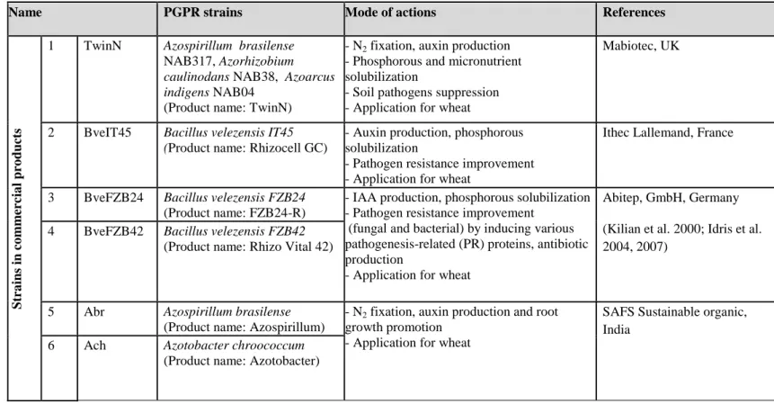 Table 3: List of rhizobacterial strains used for preliminary screening of PGPR candidates which are able to promote plant growth under  greenhouse conditions