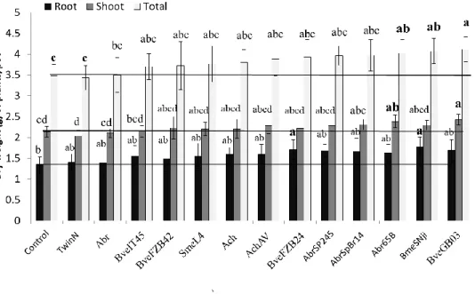 Figure 5: Preliminary screening in the greenhouse to select the PGPR strains for further  experiments