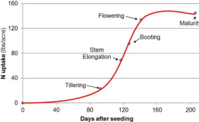 Figure 7: The N uptake of wheat was determined by harvesting and analyzing the N content  in the aboveground biomass of wheat plants at different developmental stages from sowing 