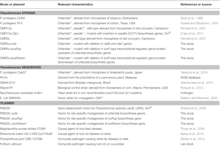 TABLE 1 | Strains, reference sequences, and plasmids used in this study a .