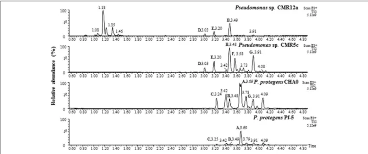 FIGURE 3 | UPLC-MS analysis of crude extracts from selected Pseudomonas strains, P. protegens CHA0 and Pf-5, Pseudomonas sp
