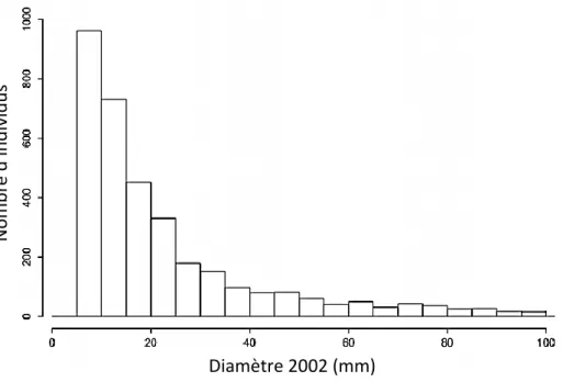 Figure 3 Distribution des effectifs d’arbres suivis par classes diamétrales (classes de 5mm) 