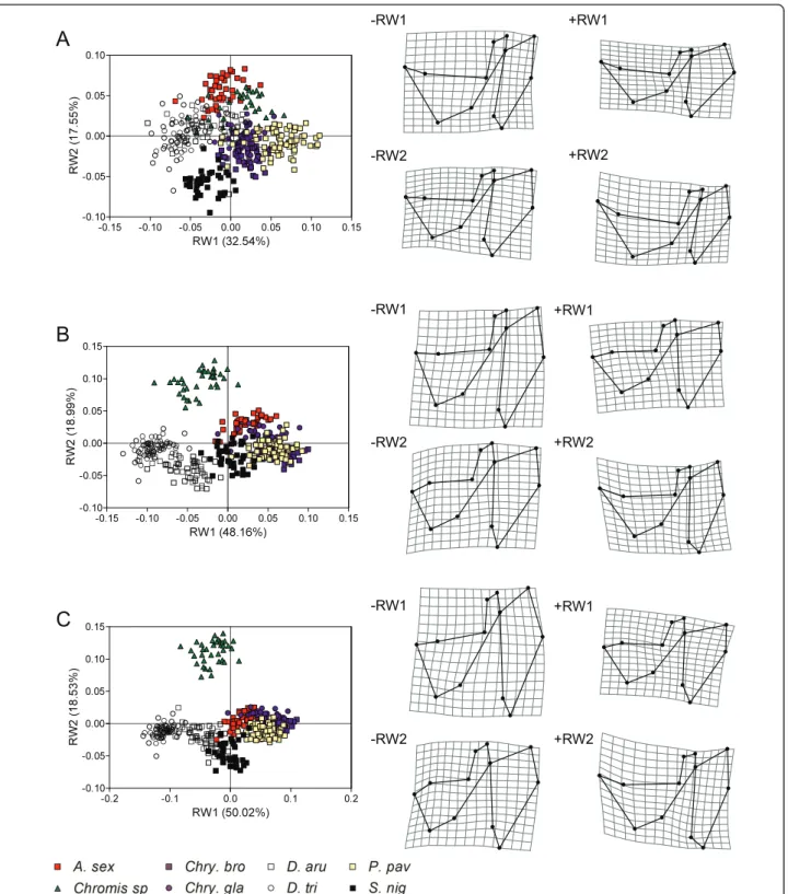 Figure 8 Ontogenetic dynamics of the patterns of suspensorium and opercle shape disparity