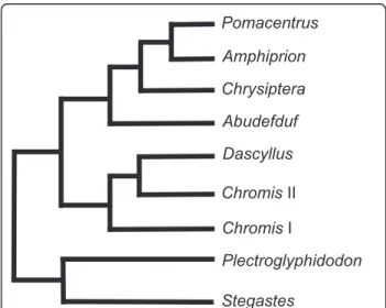 Figure 1 Phylogenetic relationships among the most specious genera of Pomacentridae. The tree topology drawn according to molecular phylogenetic studies [26] is simplified because all genera are not shown.