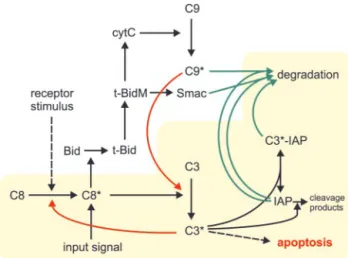 Table I lists the parameters as used in the “single set” simulations (unless indicated otherwise)