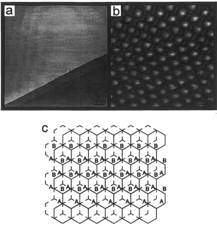Figure 3.1  STM images of crystalline graphite surfaces.  (a)  750x750 nm2, atomic fiat  surface  with single and multiple steps