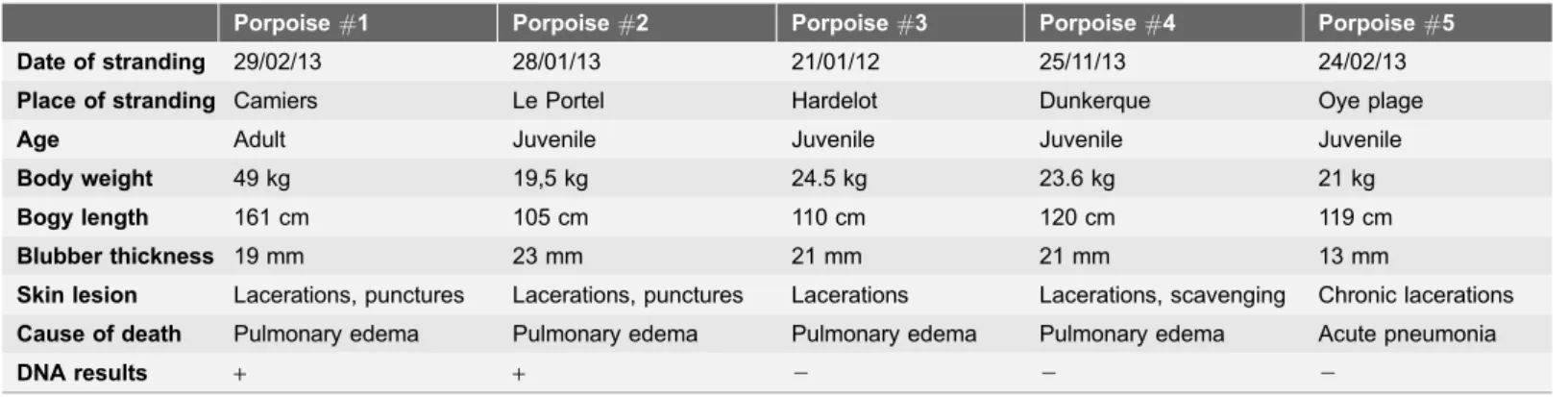 Table 1. Characteristics and relevant post-mortem investigations results of the five harbour porpoises.