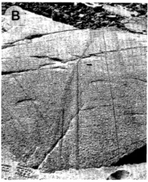 Figure 4. A) Modally-graded layers alternating with more homogeneous ilmenite-magnetite gabbronorite  (phaimC) within MCU Hie (Figure 2) near Storeknuten (Figure 1C)