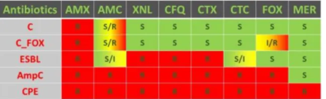 Table II – Resistance phenotypes of the 94 bovine  isolates tested by microarrays 