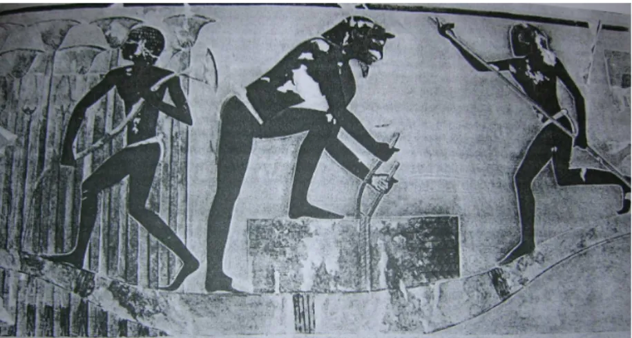 Figure 7 : Peinture de la tombe de Puyemré à Thèbes représentant la récolte de papyrus, photo extraite de  Papyrus in classical antiquity de N