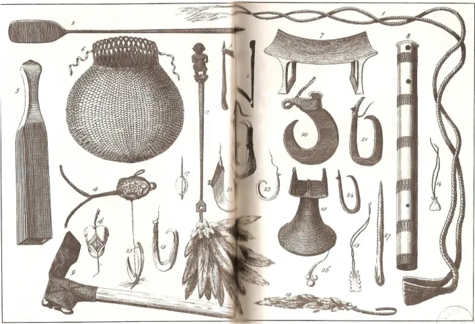 Illustration 7 :  Instruments de Tahiti.