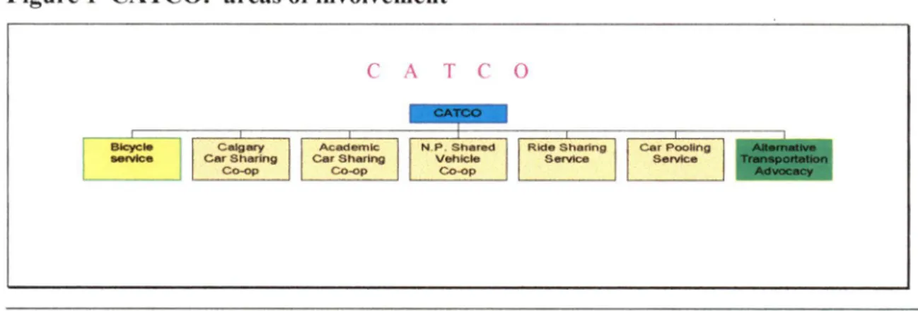 Figure 1 CATCO: areas of involvement