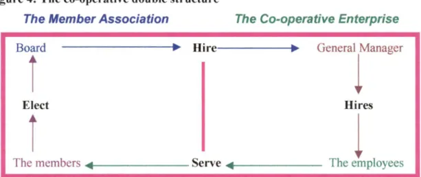 Figure 4: The co-operative double structure