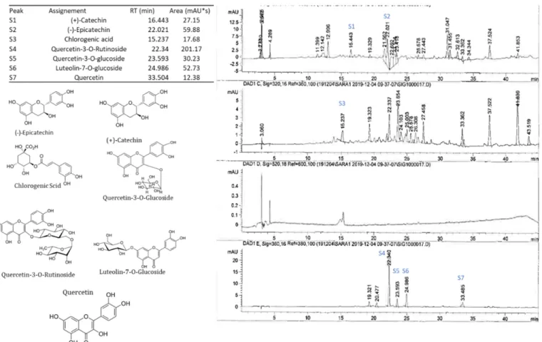 Figure 2. HPLC-DAD profile, chemical structures of the main phenolic compounds identified in the fig pulp