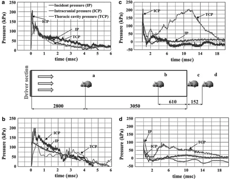 FIG. 7. Variations of reflected pressure (RP) and intracranial pressure (ICP) with respect to four incident pressures (IP): 100, 150, 200, and 225 kPa at APL (a)