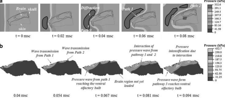 FIG. 8. Comparison between experiments and numerical models both inside and outside the shock tube
