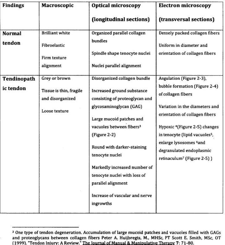 Table 2-1: Comparison of normal and tendinopathic tendon by microscopy (Xu 2008)