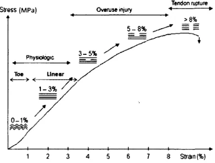 Figure 2-10: Stress-strain curve demonstrating the mechanical properties of normal tendon (Arnoczky, Lavagnino et al