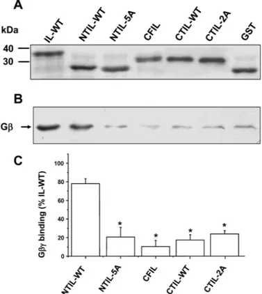 Figure 2A illustrates purified fusion proteins that were visualized in a brilliant blue-stained SDS-acrylamide gel.