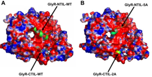 Fig. 4. RQH reduced G ␤␥ binding to GlyR and other dimer effectors.