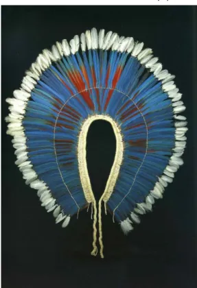 Illustration 3. - Parure dorsale Kayapo .
