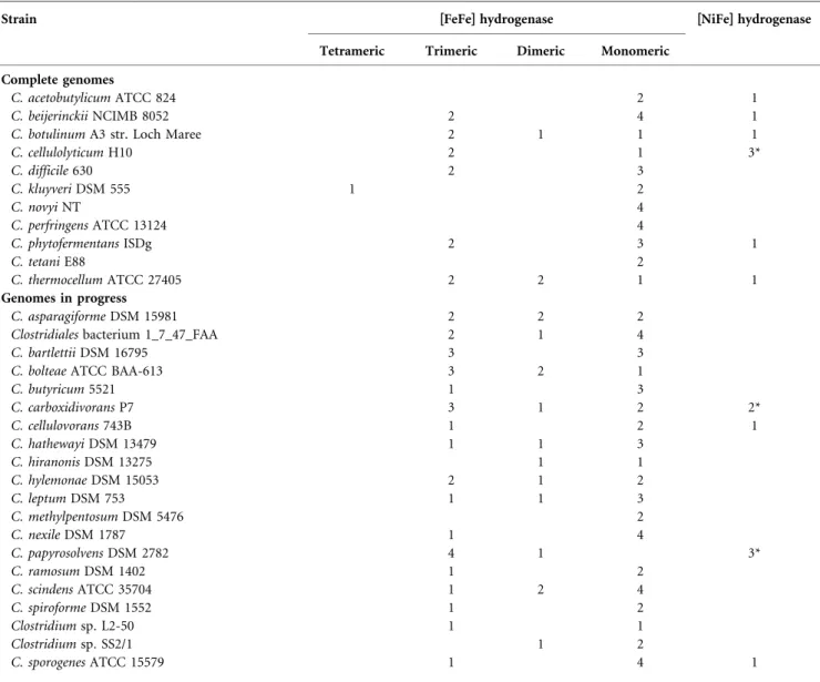 Table 1. The hydrogenase content of the analysed genomes of members of the genus Clostridium