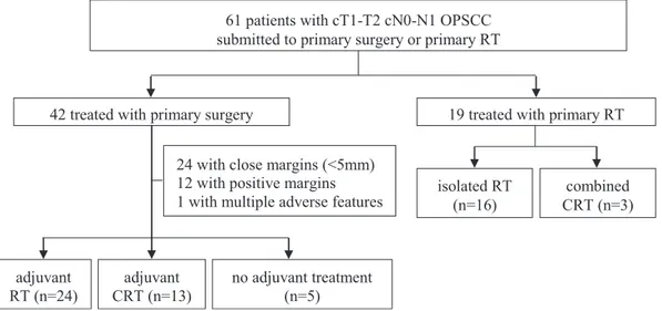 Fig. 1. Study design algorithm. OPSCC, oropharyngeal squamous cell carcinoma. RT, radiotherapy