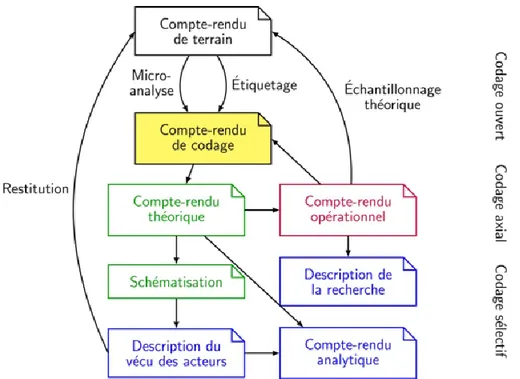 Figure 1. Organisation des comptes-rendus (d’après Lejeune, 2014, p. 123). 