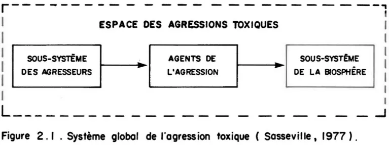 Figure  2. 1 .  Système  global  de  l'agression  toxique  (  Sasseville  t  1977). 