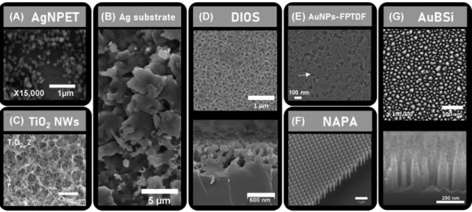 Figure 11F shows the highly ordered and uniform NAPA platform with silicon nanoposts characterized by an average height of 1100 nm, an average diameter of 150 nm and an average periodicity of 337 nm) (Morris et al., 2015)