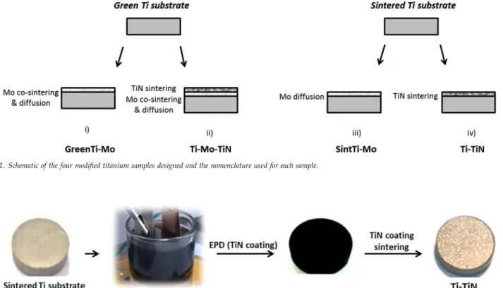 Fig. 1. Schematic of the four modiﬁed titanium samples designed and the nomenclature used for each sample.