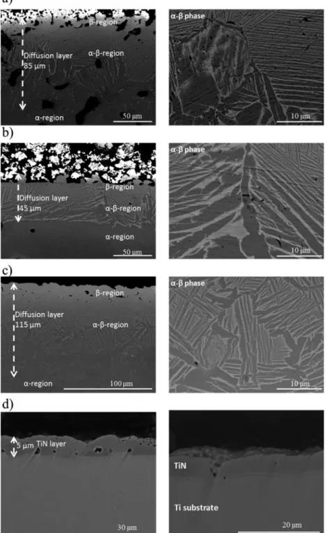 Fig. 6. Cross-sectional SEM micrographs of the diffusion areas obtained for: (a) GreenTi–Mo