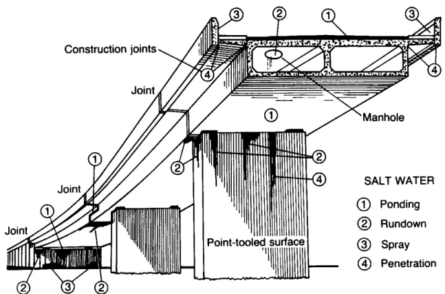Figure 1 : typical zones of chloride ions attack (Pritchard, 1992)  The causes of degradation may be classified in three main categories (Maage, 2004): 
