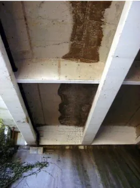 Figure 2: contamination of concrete bridge deck  Figure 3: effect on deicing salts – scaling – on  bridge concrete protection structures 