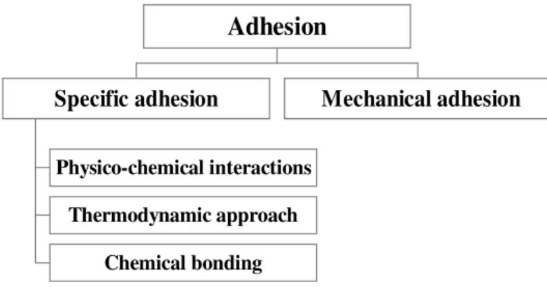 Figure 7: principles of the theory of adhesion. 