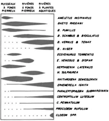 FIGURE  1:  Diagramme  de  la  présence  et  de  l'abondance  des  Ephéméroptères  les  plus  communs  du  Nord-ouest  de  l'Europe