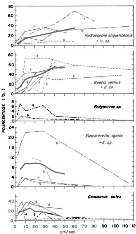 FIGURE  2:  Pourcentage  des  spécimens  capturés  à  différentes  vitesses  de  courant