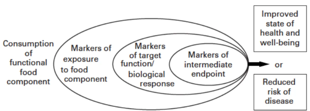 Figure 1: Classification of markers relevant to the effects of functional foods 