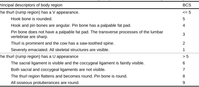Table 1.  Decision chart for body condition scoring dairy cows in the Walloon Region of Belgium 