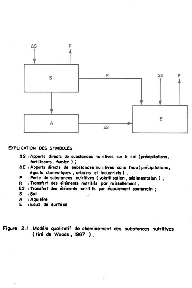 Figure  2.1  . Modèle  quolitatif  de  cheminement  des  substonces  nutritives  (tiré  de  Woods  t  1967  )