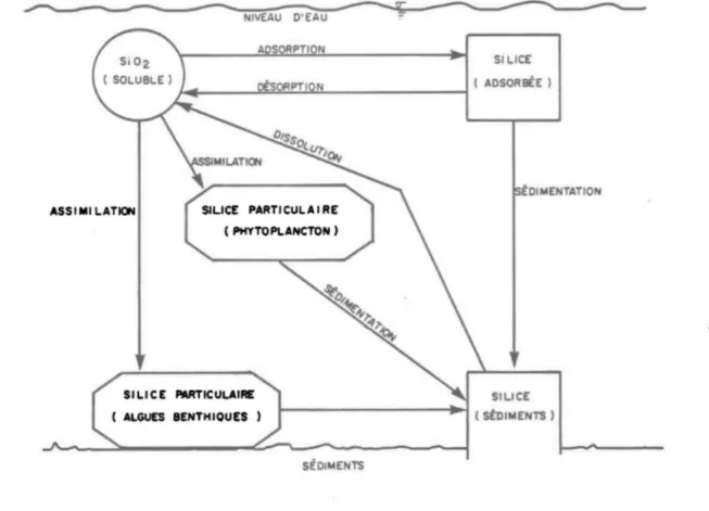 Figure  2.  3  . Schéma  des  transformations  de  la  silice  en  rivière 