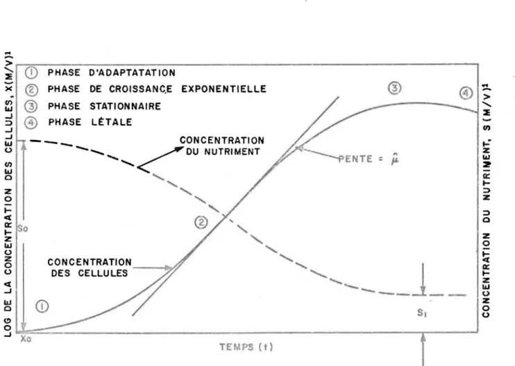 FIGURE  1 .  REPRÉSENTATIOr4  IDÉALISÉE  D'UNE  COURBE  DE  CROISSANCE ,  POUR  UNE  CULTURE  À  QUANTITÉ  FIXE  DE  NUTRIMENTS  (TOERIEN  •  HUANG  1  1971  ) 