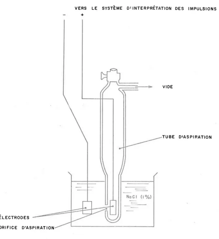 FIGURE  5.  SCHÉMA  DE  LA  CELLULE  SENSIBLE  DU  COMPTEUR  COUL TER  EN  OPÉ- OPÉ-RATION .1 