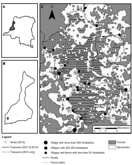 FIGURE 1 Map of the study site. A. Location of the Lake Tumba landscape in the Democratic Republic of Congo