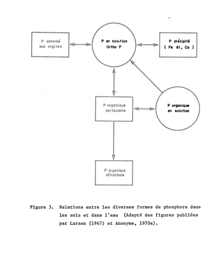 Figure  3.  Relations  entre  les  diverses  formes  de  phosphore  dans  les  sols  et  dans  l'eau  (Adapté  des  figures  publiées  par  Larsen  (1967)  et  Anonyme,  1970a)